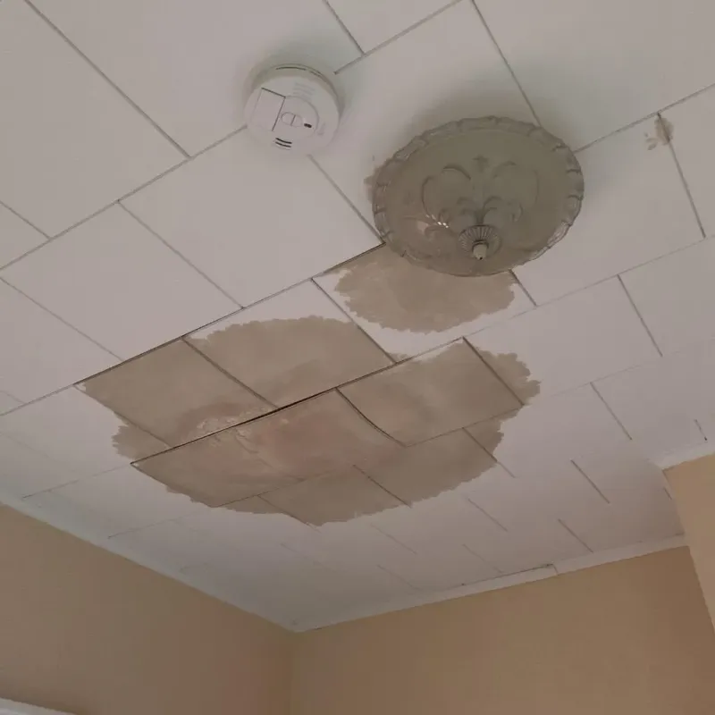 Ceiling Water Damage Repair in Fergus Falls, MN