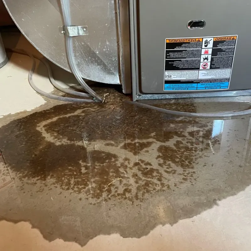 Pipe Burst and Leak Restoration in Fergus Falls, MN
