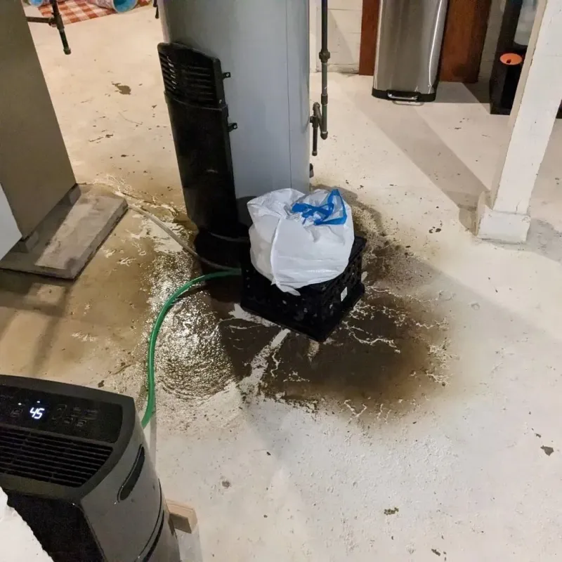 Sewage Backup Cleanup Service in Fergus Falls, MN